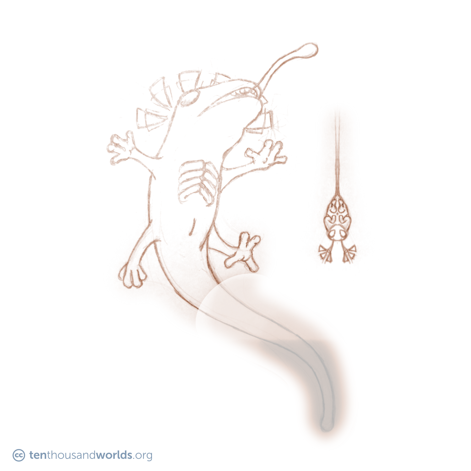 A pencil sketch of a flying salamander-like creature shoots out a long, frog-like tongue. It has prominent rib-like structures and is wreathed in a headdress of floating triangles. A tiny, grub-like creature, with antennae made of triangles, floats upside-down by a tread.