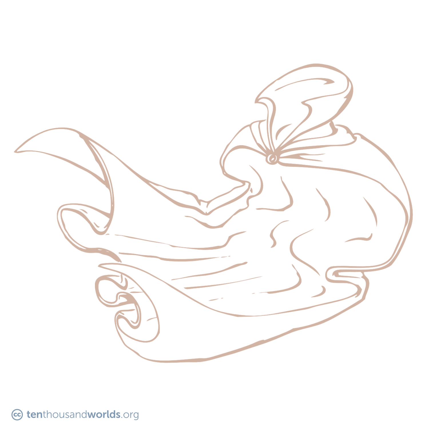 A pencil sketch of a voluminous fluttering cloak with a large popped collar.